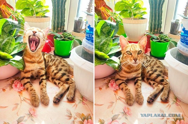 Совершенно секретно
