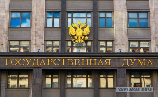Очень любит чипсы Читос