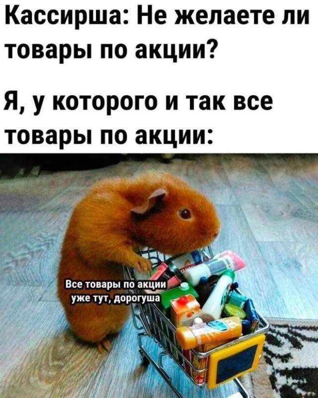 20986119.jpg