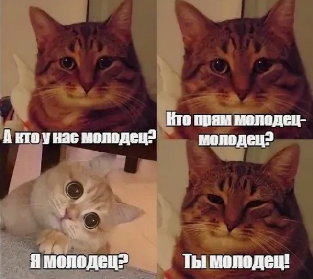 Смерть глазами инженера: почему мы — это просто радиосигнал