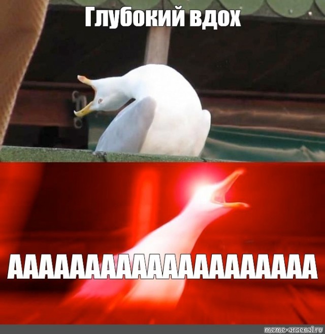Что происходит за окнами каждое летнее утро