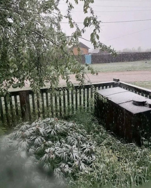 Внезапная зима окутала Забайкалье: часть трасс уже перекрыта