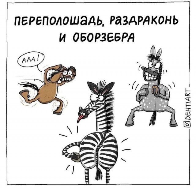 Картиночки, баянчики 15 августа