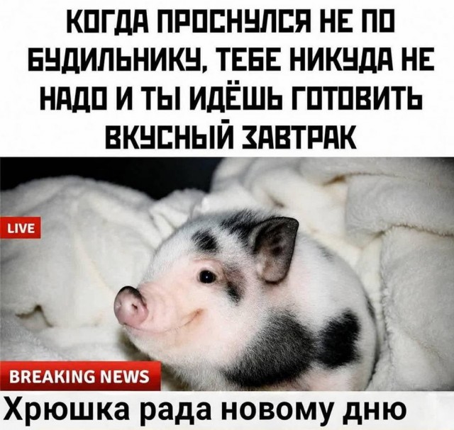Помянем выходные