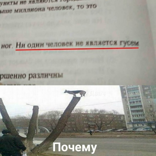 Что-то уже коньяка хочется