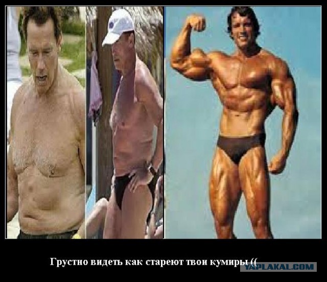 Мистер Олимпия