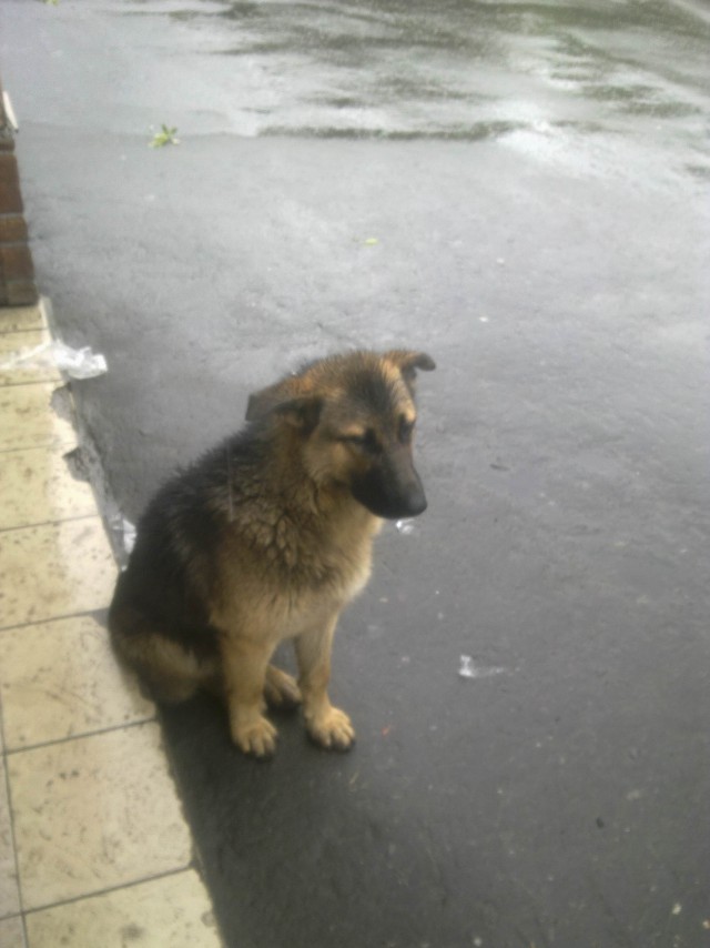 Разные разности с телефона