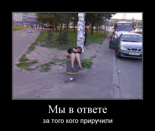 Алкопост.