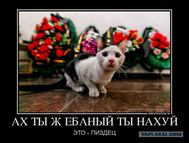 Мертвый гангстер сыграл в домино за столиком кафе
