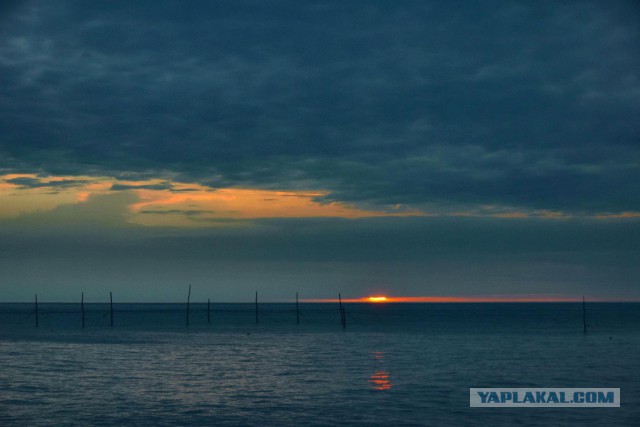 Живу у моря