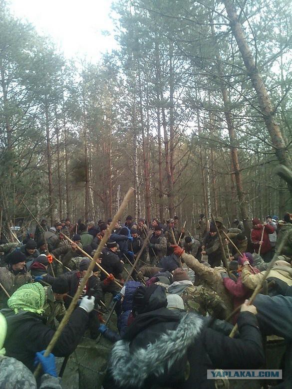 Копают все: на севере Украины продолжается янтарная лихорадка