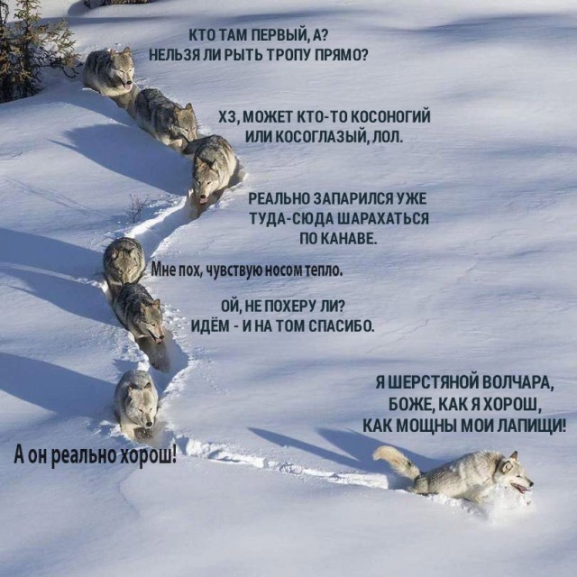 Всякие разные картинки