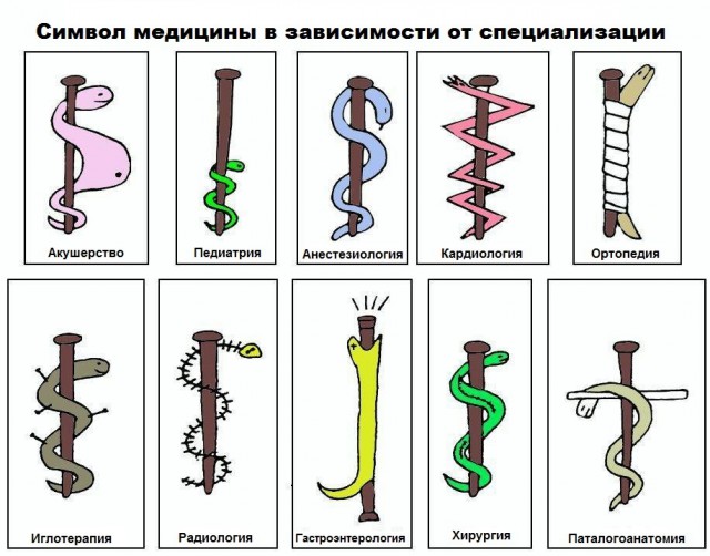 Символ медицины в зависимости от специализации