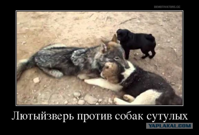 Футбол. Чемпионат России 2017-2018 часть 3