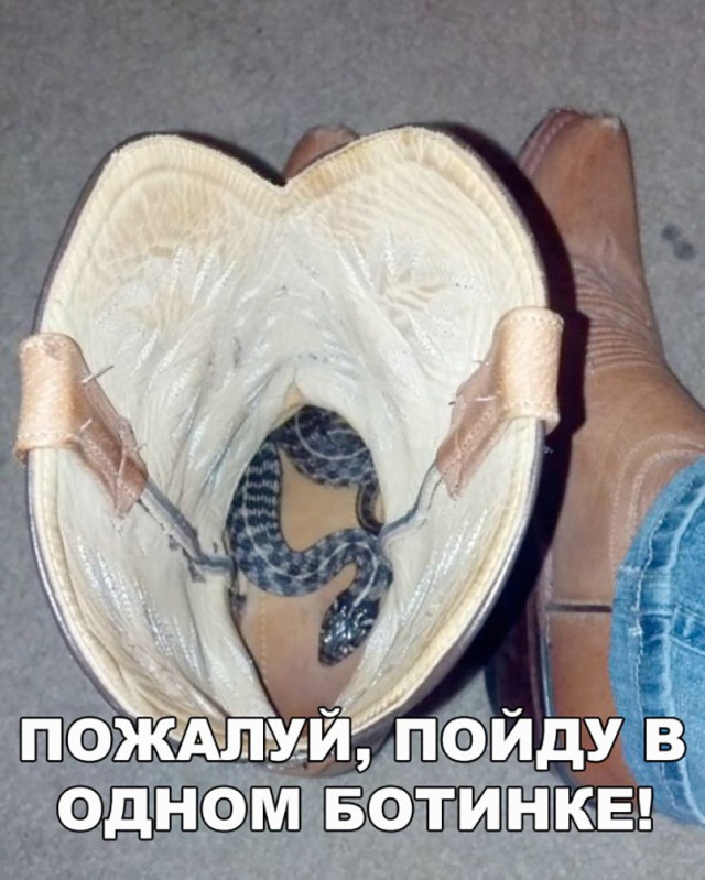 Подборка интересных и веселых картинок