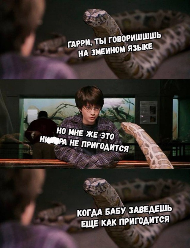 Подборка интересных и веселых картинок