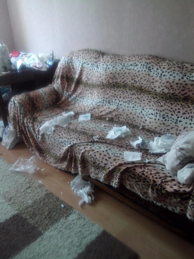 Когда повезло с котом.
