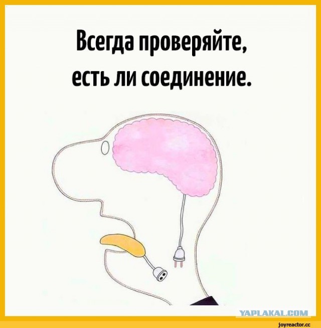 В России предложили обязательно проходить тест на совместимость перед свадьбой