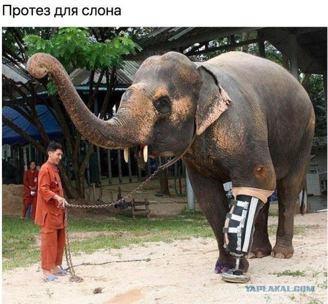 Не очень адекватный юмор