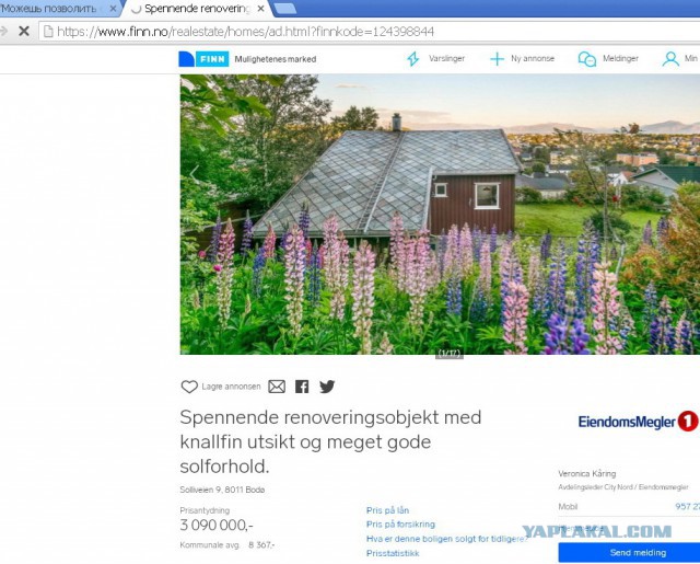 "Можешь позволить себе... кофе". Русская студентка сравнила Норвегию и Россию