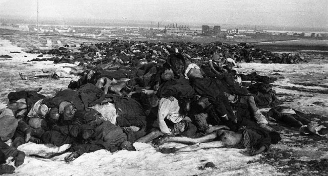 История в фотографиях