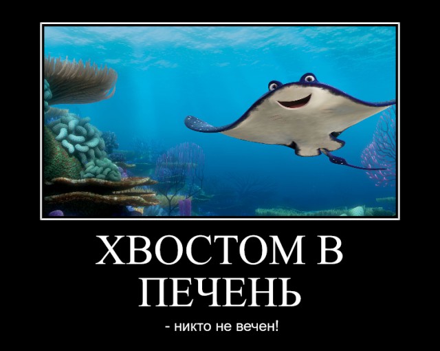 Подборка интересных и веселых картинок 29.10.18