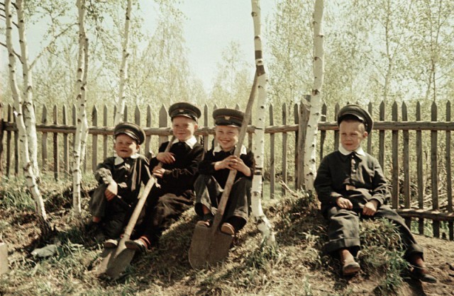 1950-е годы. Советский Союз