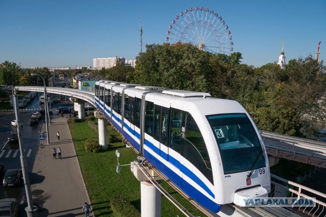 Вот так надо решать проблемы общественного транспорта в горордах