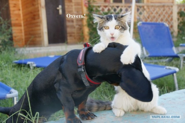 Они делают это каждый день