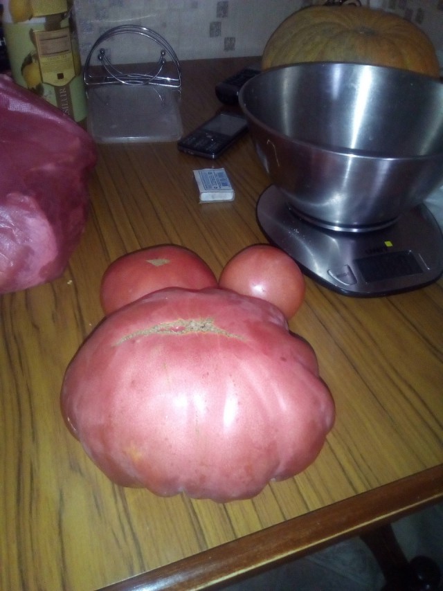 Вкус помидора