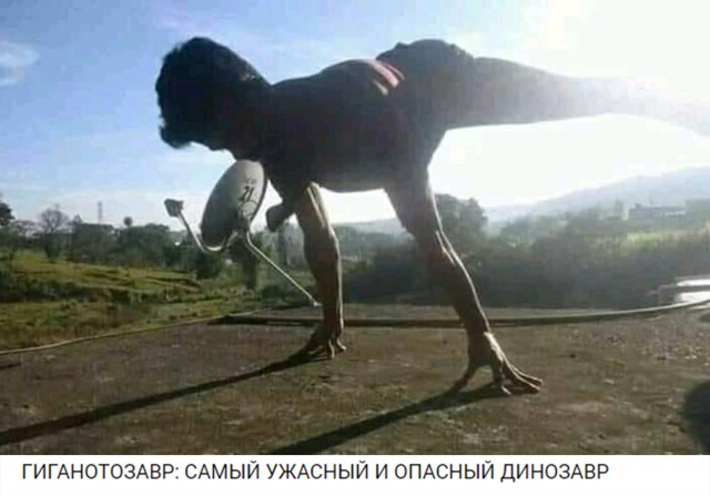 Не очень адекватный юмор