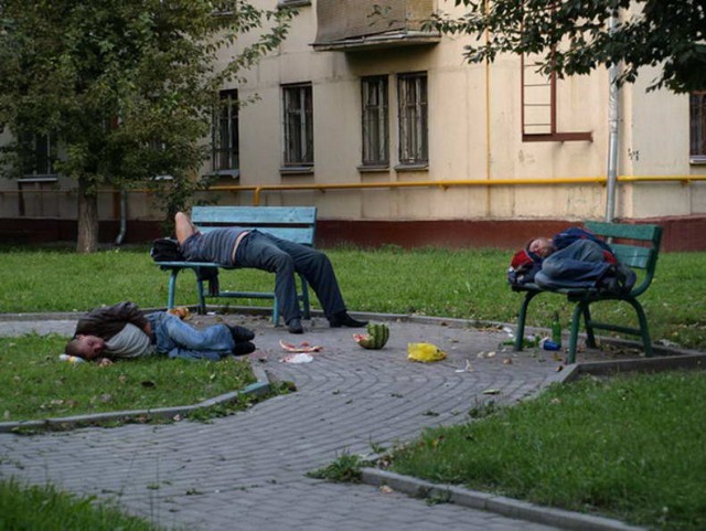 Скотсети и прочие интернеты 16.08.19