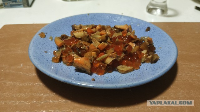 Грибы