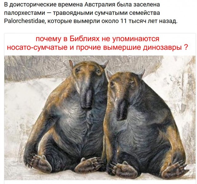 Протоиерей Смирнов назвал эволюционную теорию Дарвина совершенно ненаучной