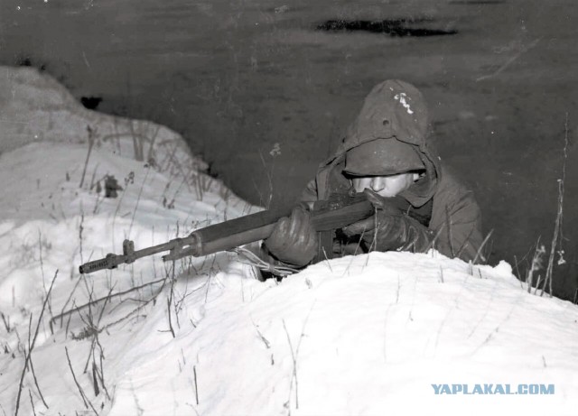 M14: история болезни американской винтовки