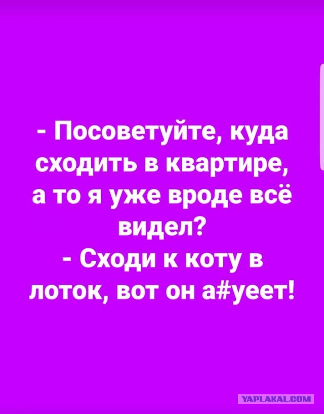 Бредзона 07.04.2020