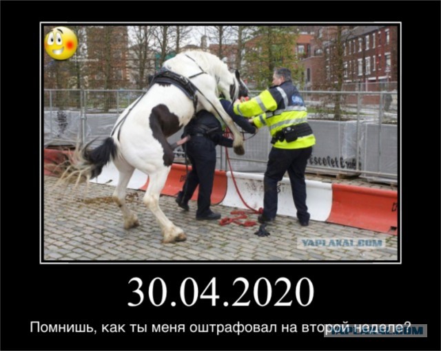 Пояснение по режиму самоизоляции и штрафам