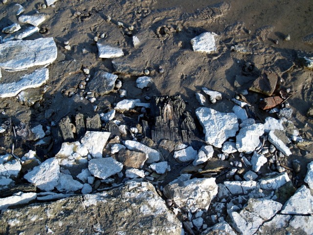 Прогулка по дну Обского водохранилища