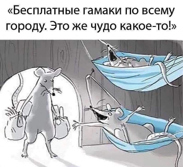 Бредзона 24.05.20