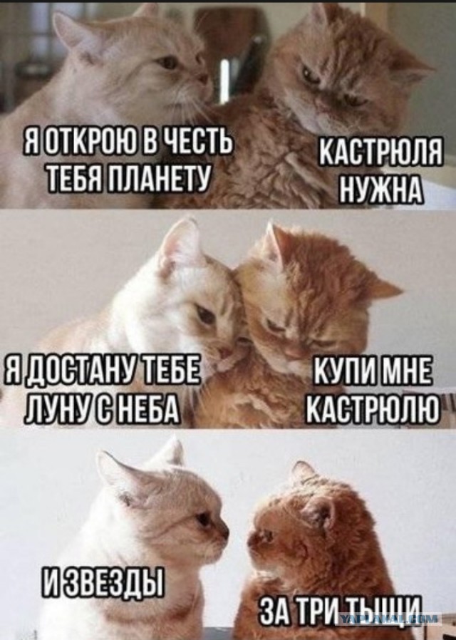 Женщины против ДНК-теста на отцовство