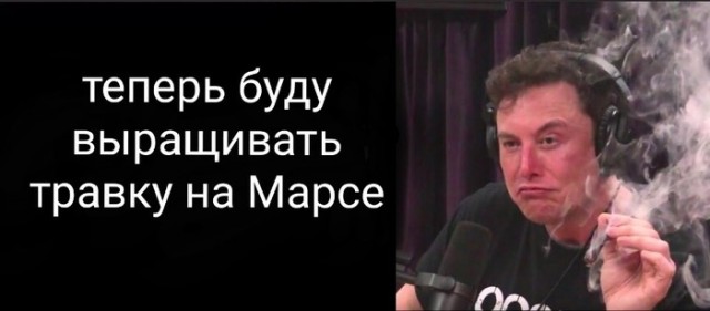 Маск серьезно намерен свалить на Марс