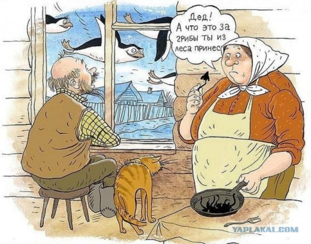 Девочка из будущего