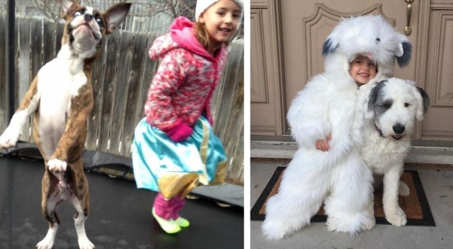 22 фото, доказывающих, что для счастья ребёнку нужна собака, а если вы думаете иначе, то вы точно кошка