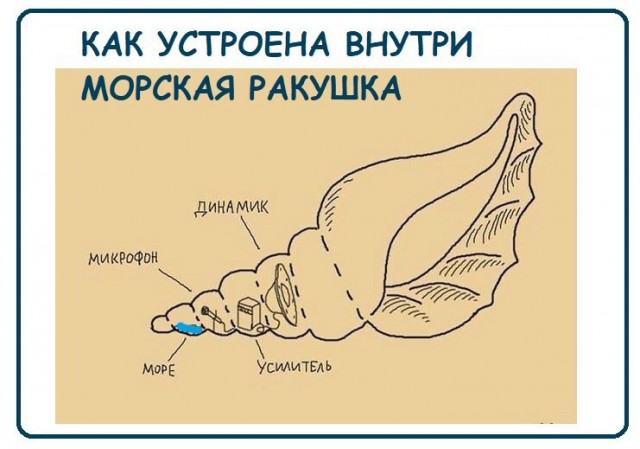 Картинки всякие 13.02.21