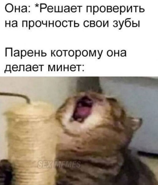 Весенний взгляд из темноты