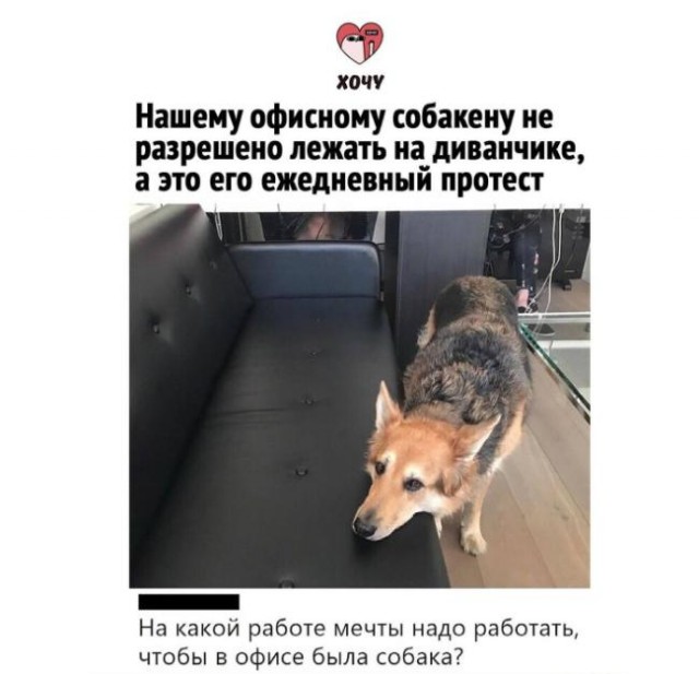 Картинки и мемы для настроения 28.04.2021