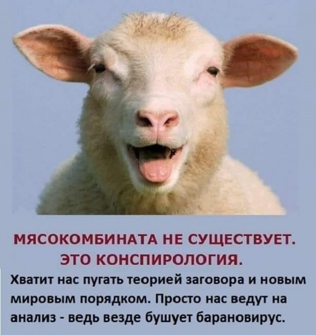 Непривитые от COVID-19 должны лечиться за свой счет, заявили в Роспотребнадзоре