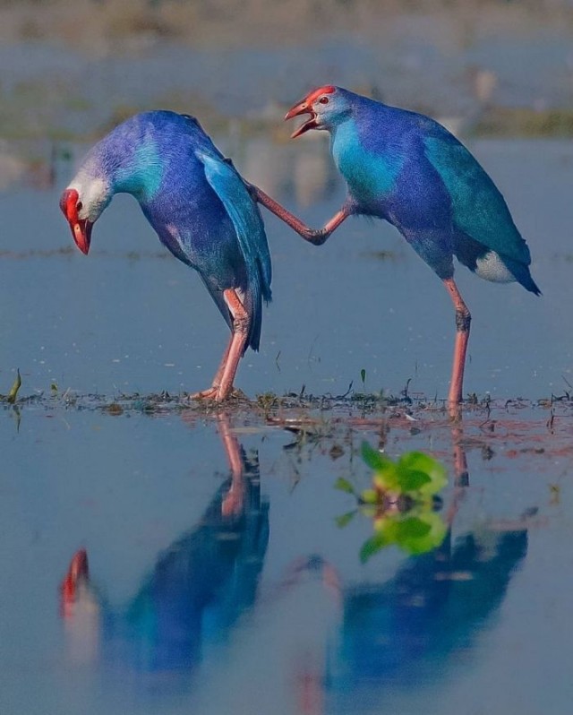 Картинки и мемы для настроения 05.08.2021