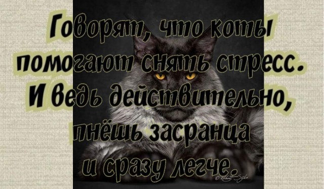 Боян на Бояне...