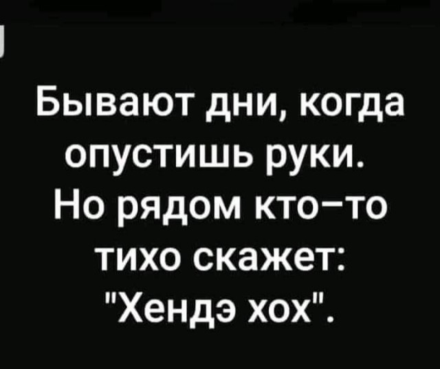 Всяческие картинки 08.11.2021